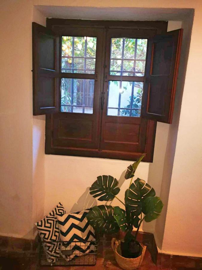 Casa Patio Los Suenos De Daury II 코르도바 외부 사진